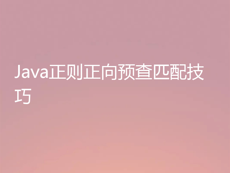 Java正则正向预查匹配技巧