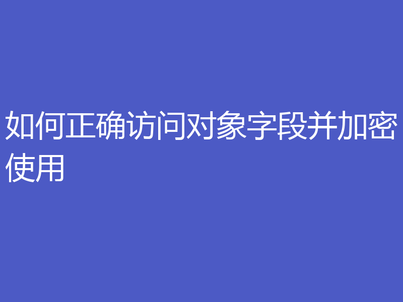 如何正确访问对象字段并加密使用
