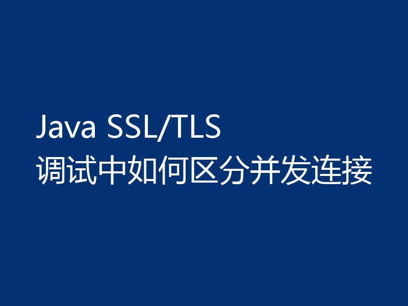 Java SSL/TLS 调试中如何区分并发连接