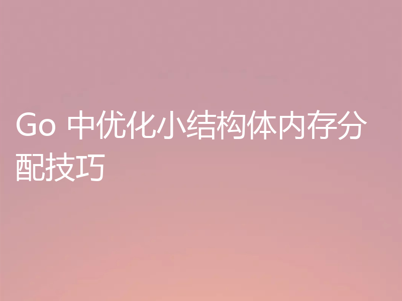 Go 中优化小结构体内存分配技巧