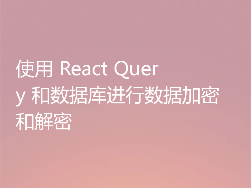 使用 React Query 和数据库进行数据加密和解密