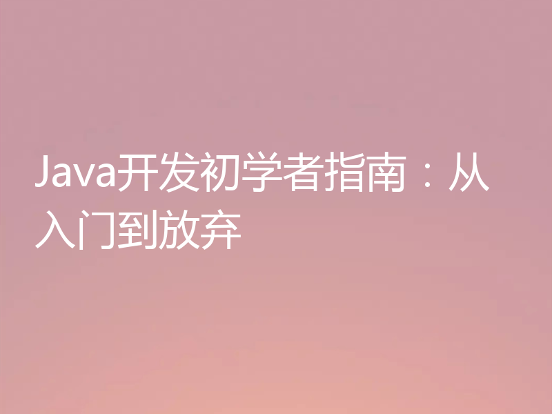 Java开发初学者指南：从入门到放弃
