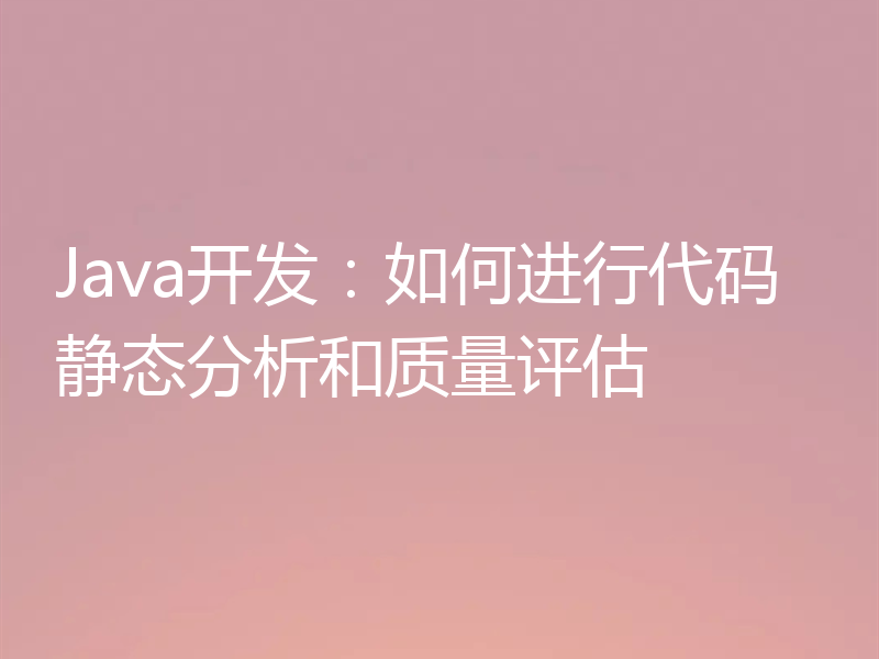 Java开发：如何进行代码静态分析和质量评估