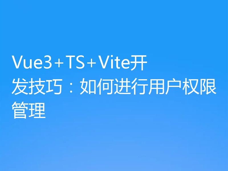 Vue3+TS+Vite开发技巧：如何进行用户权限管理
