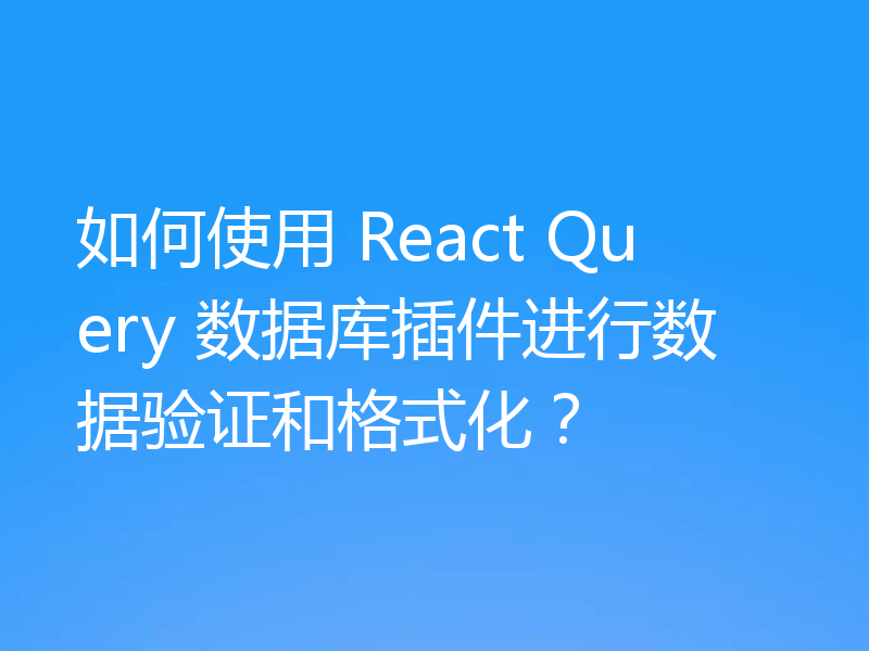 如何使用 React Query 数据库插件进行数据验证和格式化？
