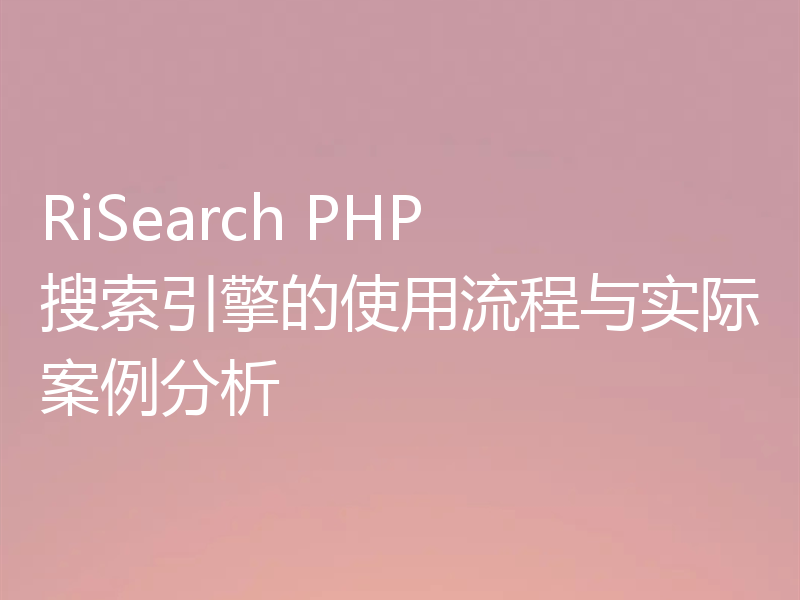 RiSearch PHP 搜索引擎的使用流程与实际案例分析