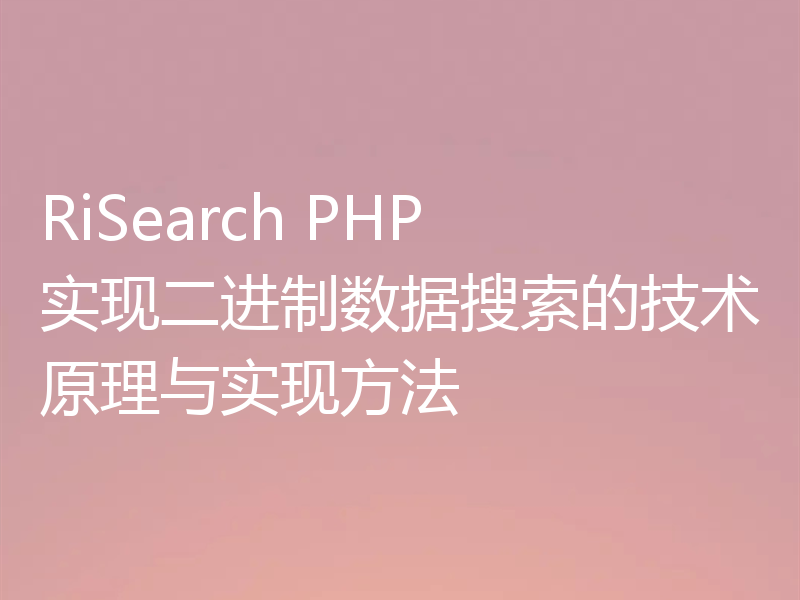 RiSearch PHP 实现二进制数据搜索的技术原理与实现方法