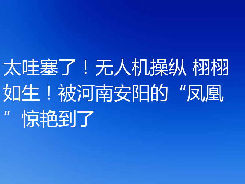 太哇塞了！无人机操纵 栩栩如生！被河南安阳的“凤凰”惊艳到了