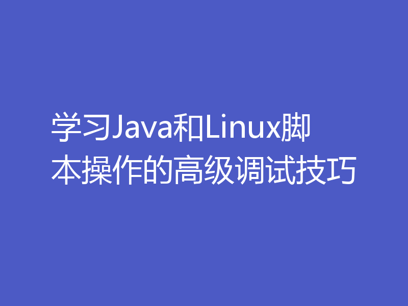 学习Java和Linux脚本操作的高级调试技巧