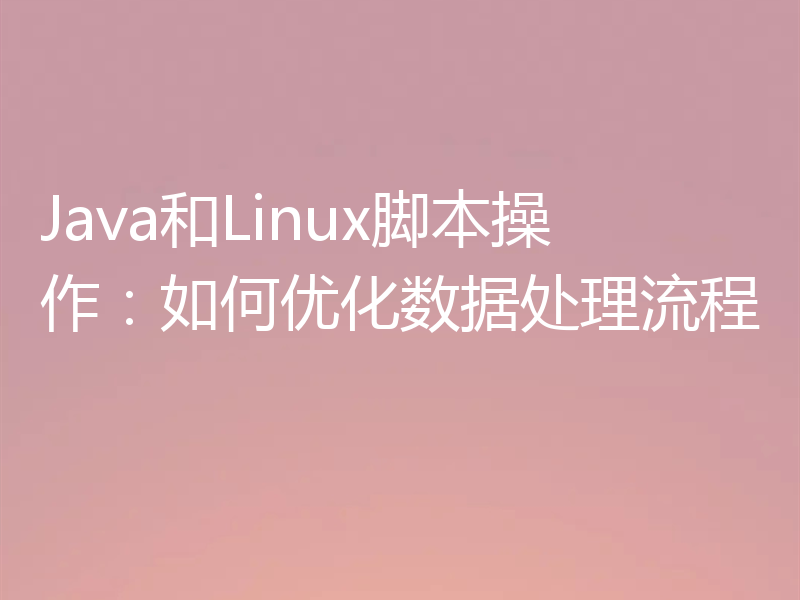 Java和Linux脚本操作：如何优化数据处理流程