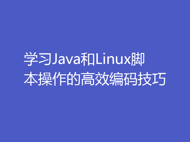 学习Java和Linux脚本操作的高效编码技巧