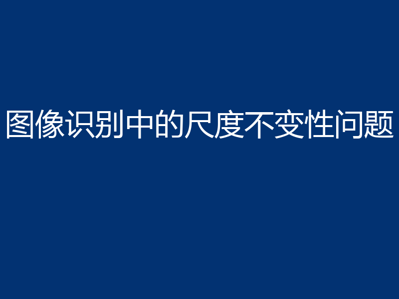 图像识别中的尺度不变性问题