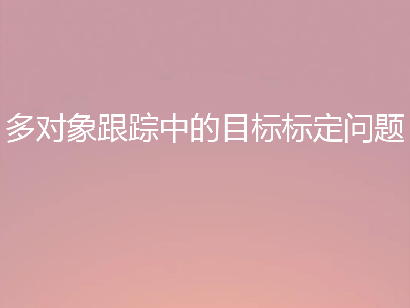 多对象跟踪中的目标标定问题