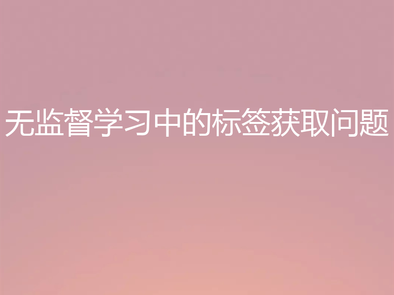 无监督学习中的标签获取问题
