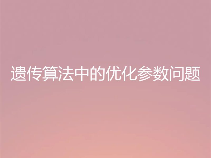 遗传算法中的优化参数问题
