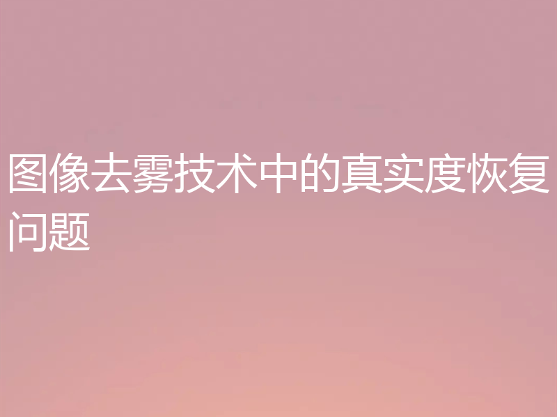图像去雾技术中的真实度恢复问题