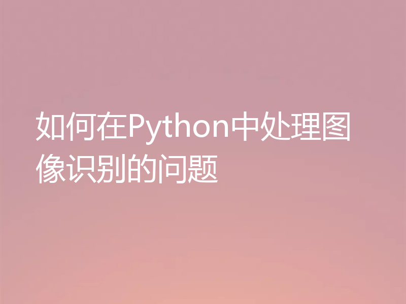 如何在Python中处理图像识别的问题