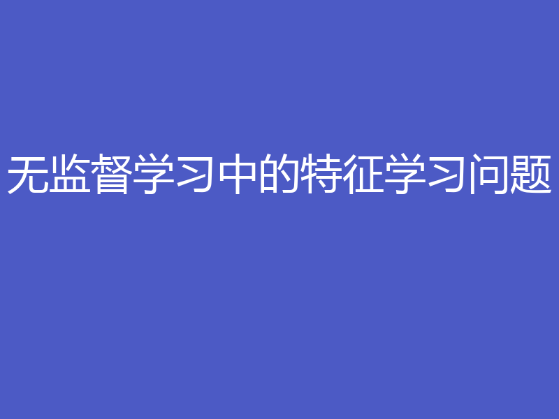 无监督学习中的特征学习问题