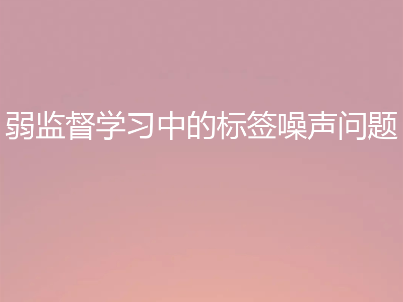弱监督学习中的标签噪声问题