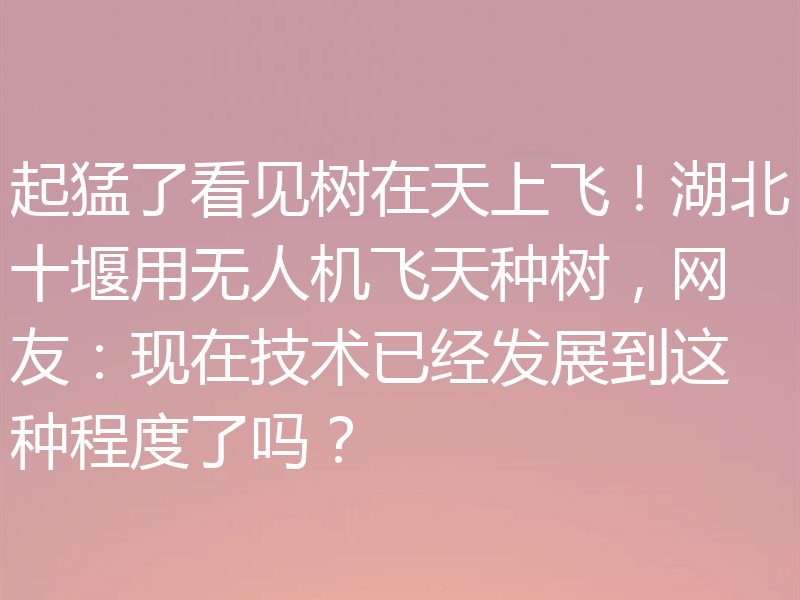 起猛了看见树在天上飞！湖北十堰用无人机飞天种树，网友：现在技术已经发展到这种程度了吗？