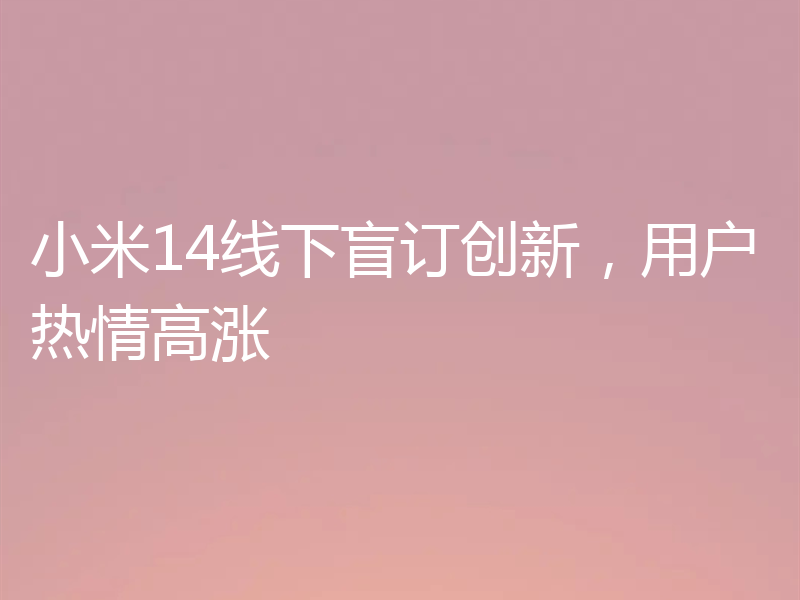小米14线下盲订创新，用户热情高涨