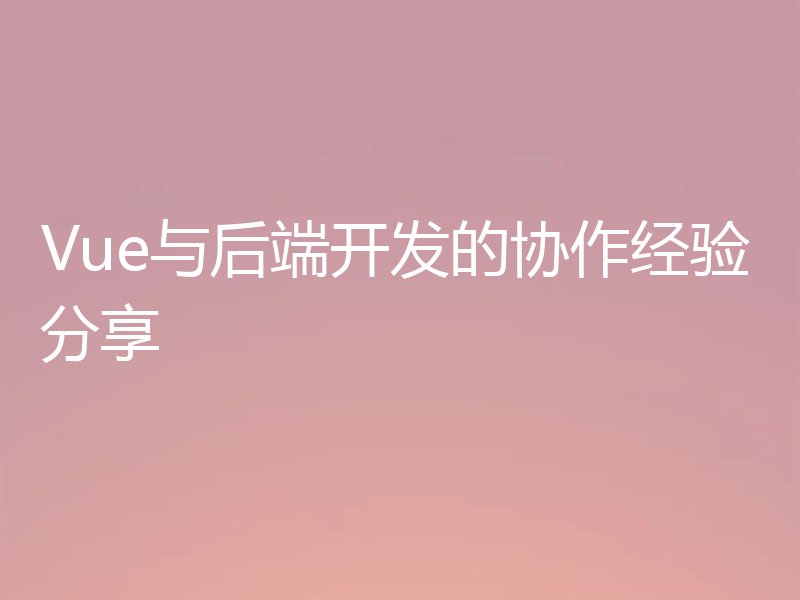 Vue与后端开发的协作经验分享