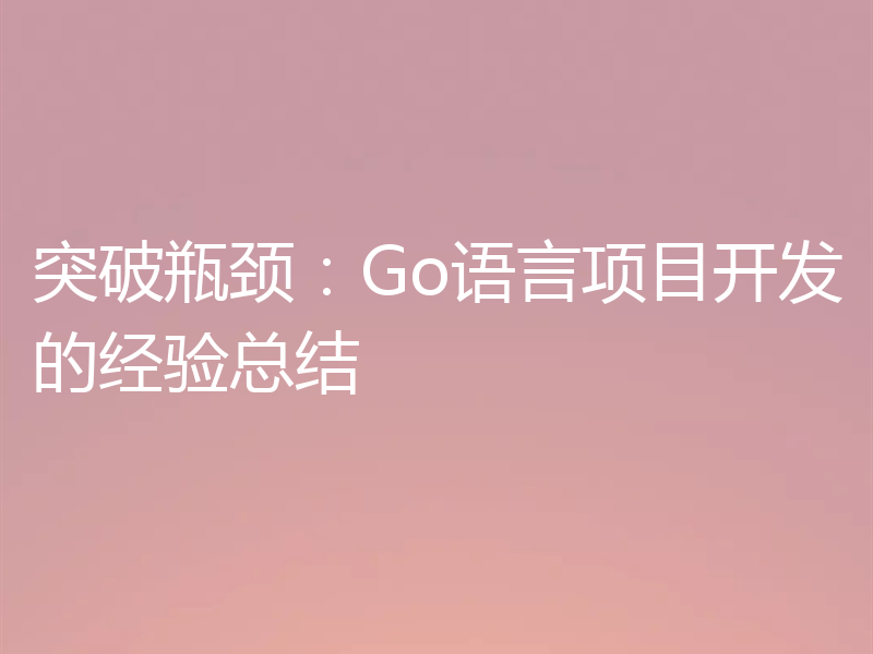 突破瓶颈：Go语言项目开发的经验总结