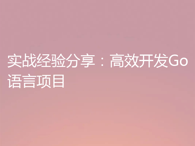 实战经验分享：高效开发Go语言项目