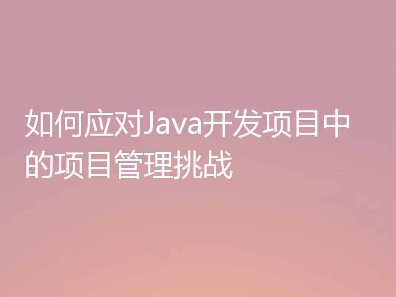 如何应对Java开发项目中的项目管理挑战