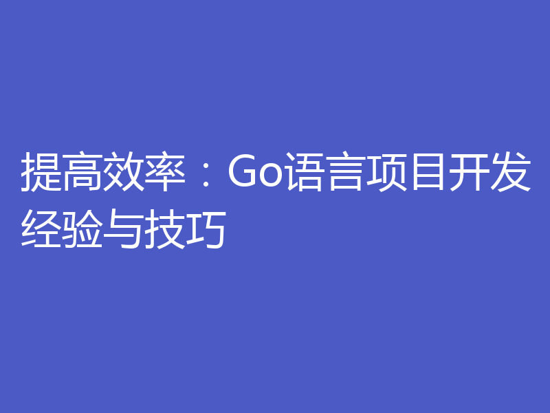 提高效率：Go语言项目开发经验与技巧