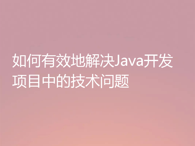 如何有效地解决Java开发项目中的技术问题