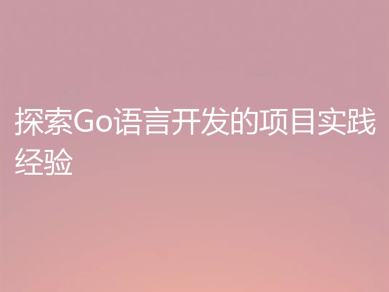 探索Go语言开发的项目实践经验