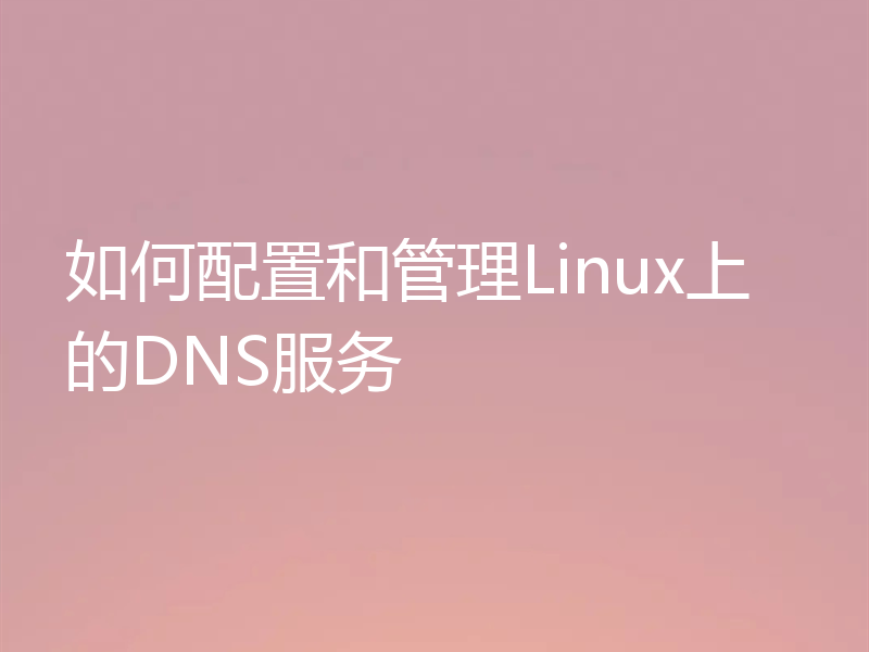 如何配置和管理Linux上的DNS服务