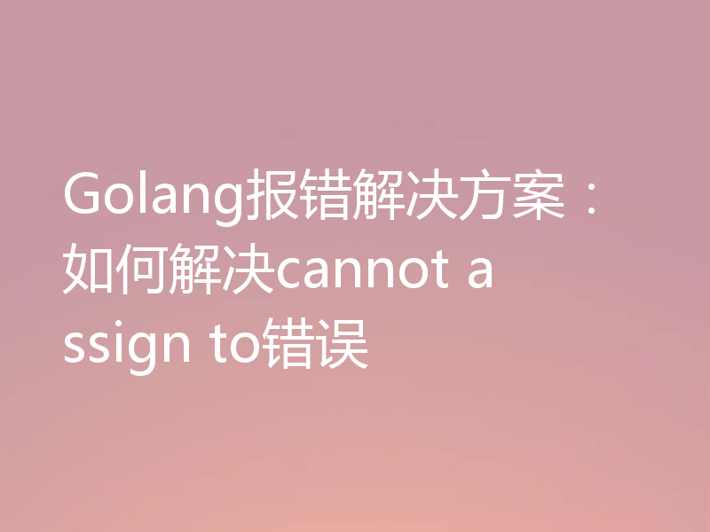 Golang报错解决方案：如何解决cannot assign to错误