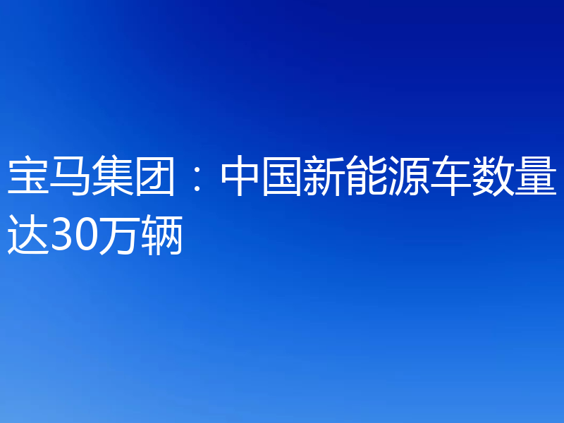 宝马集团：中国新能源车数量达30万辆