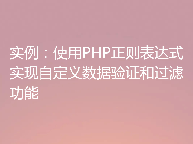 实例：使用PHP正则表达式实现自定义数据验证和过滤功能