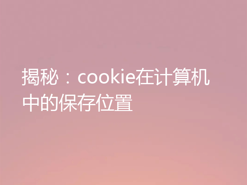揭秘：cookie在计算机中的保存位置