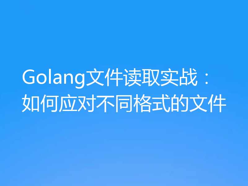 Golang文件读取实战：如何应对不同格式的文件