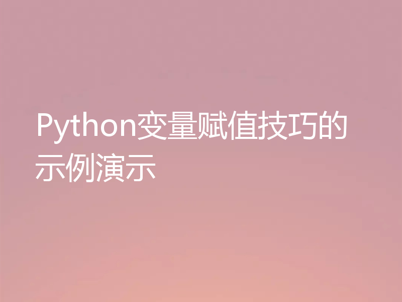 Python变量赋值技巧的示例演示