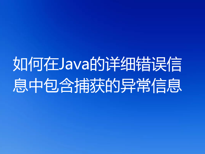 如何在Java的详细错误信息中包含捕获的异常信息