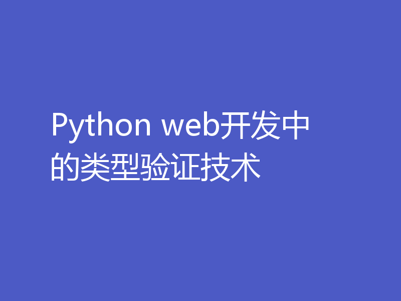 Python web开发中的类型验证技术