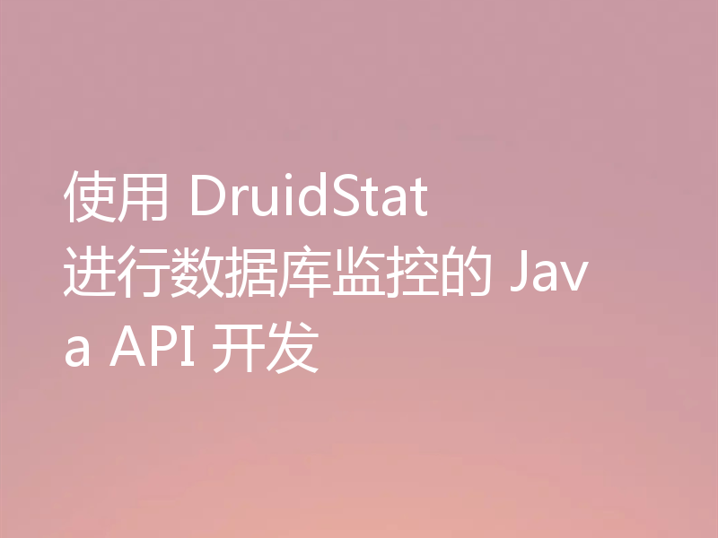 使用 DruidStat 进行数据库监控的 Java API 开发