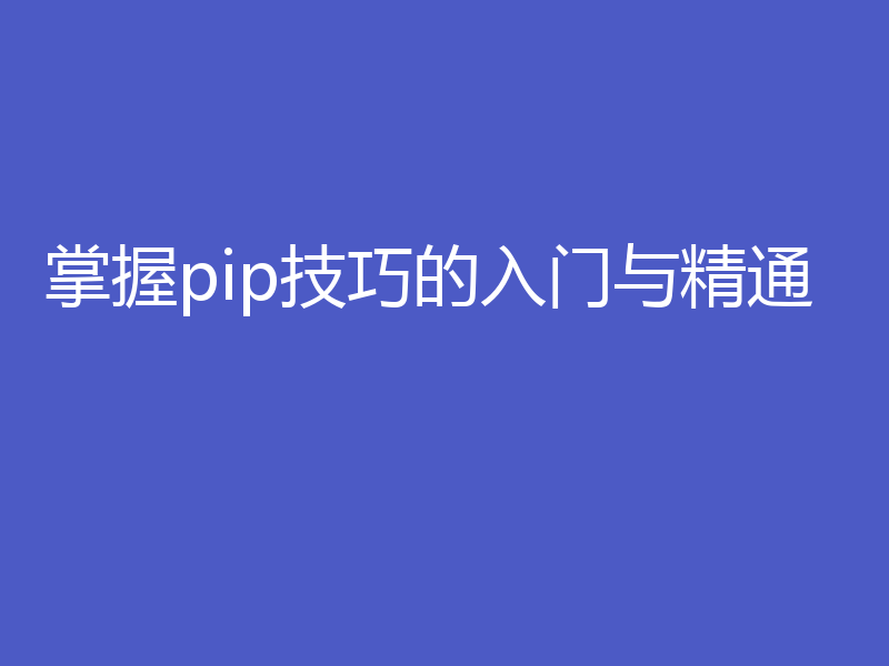 掌握pip技巧的入门与精通