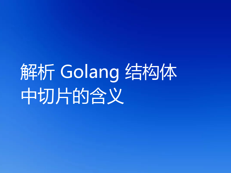 解析 Golang 结构体中切片的含义