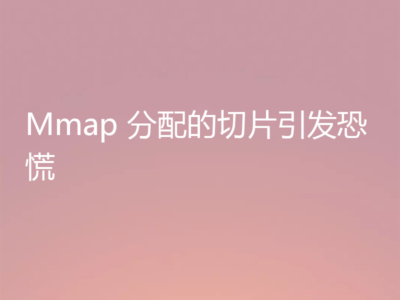 Mmap 分配的切片引发恐慌