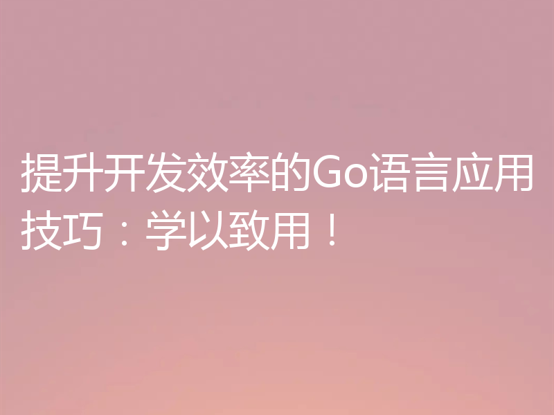 提升开发效率的Go语言应用技巧：学以致用！