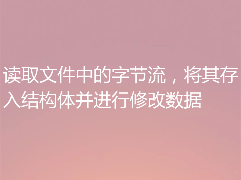 读取文件中的字节流，将其存入结构体并进行修改数据