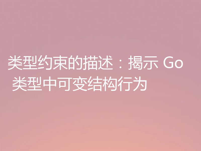 类型约束的描述：揭示 Go 类型中可变结构行为