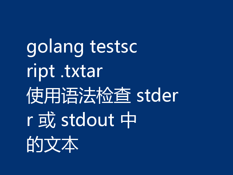 golang testscript .txtar 使用语法检查 stderr 或 stdout 中的文本