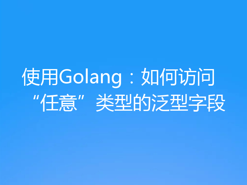 使用Golang：如何访问“任意”类型的泛型字段
